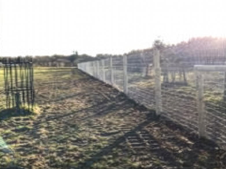 Orchard Fencing - Young Tree Protection - 5