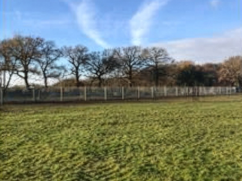 Orchard Fencing - Young Tree Protection - 6