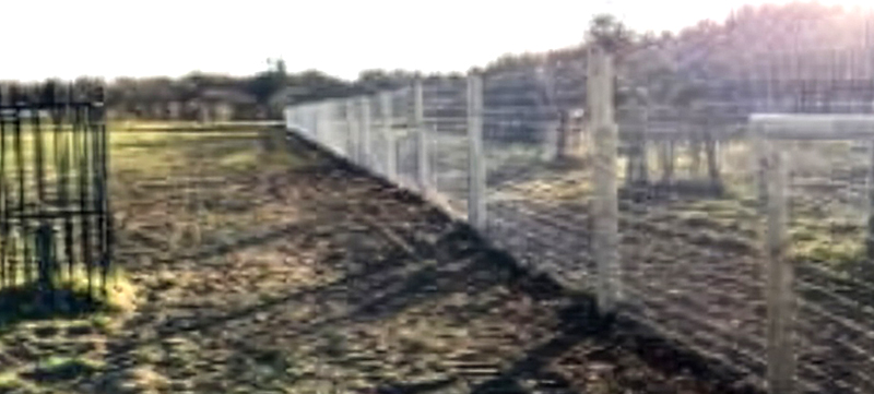 Stock Fence with Rabbit Netting Installed Around Orchard