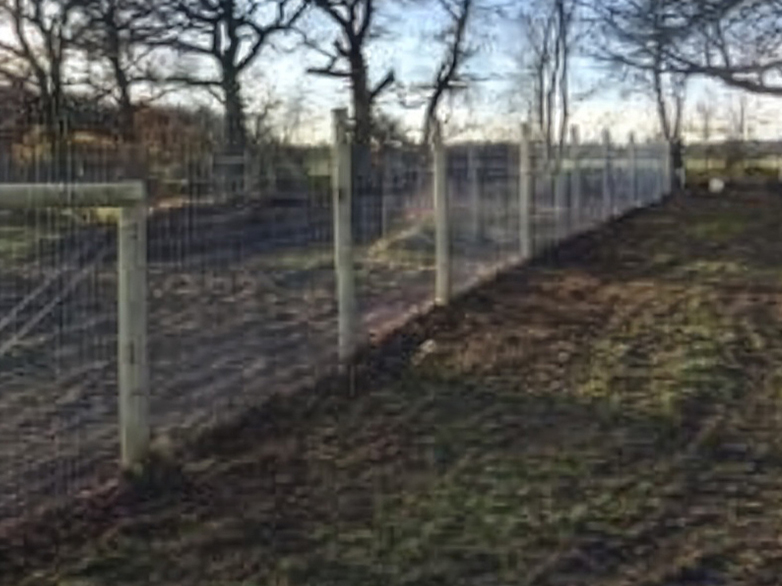 Otter and Rabbit Fencing Around Orchard Area