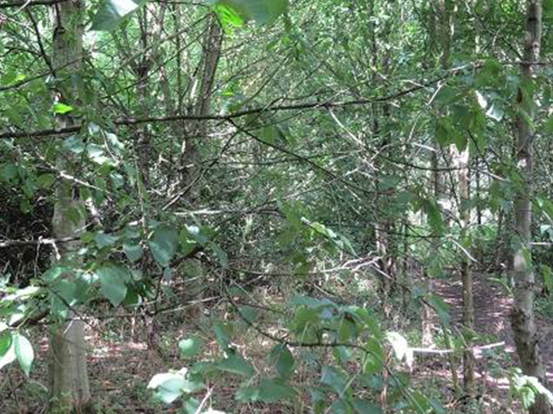 Otter Fencing - Angling Direct, Hertfordshire - 1