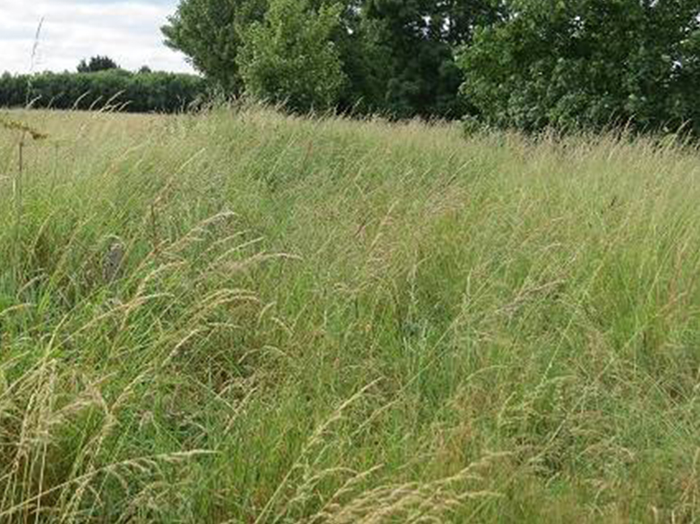 Otter Fencing - Angling Direct, Hertfordshire - 2