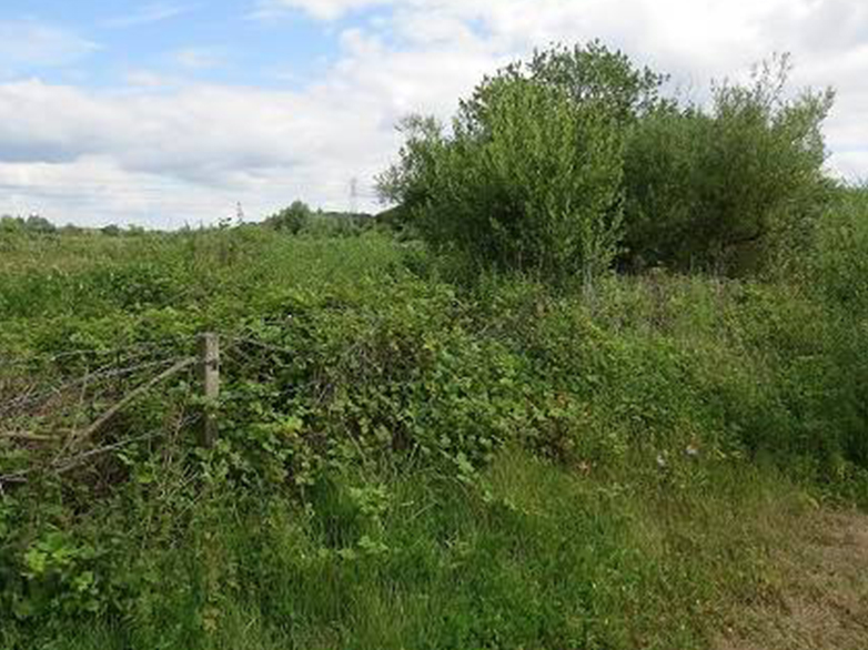 Otter Fencing - Angling Direct, Hertfordshire - 3