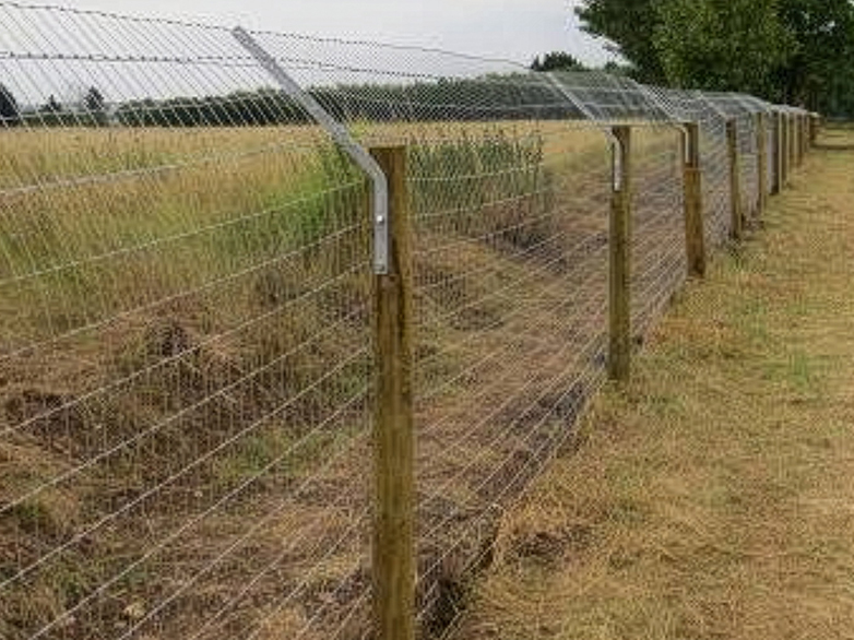 Otter Fence Installation Around Angling Lake