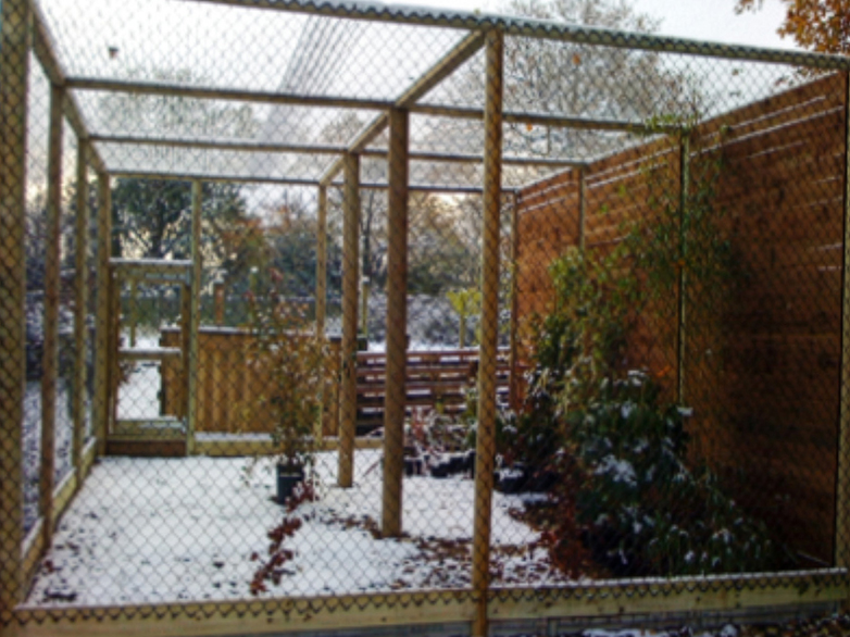 Owl aviary installation with mesh enclosure