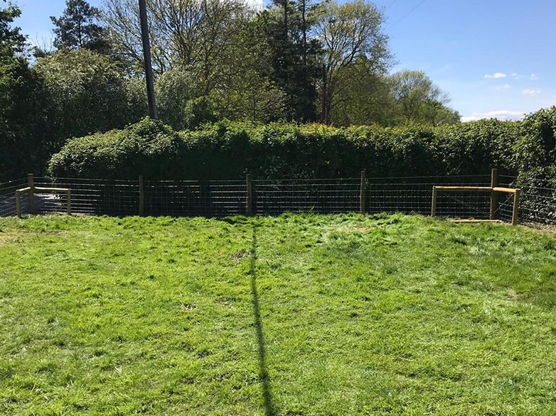 Pig Stock Fence - Smallholding Installation - 2
