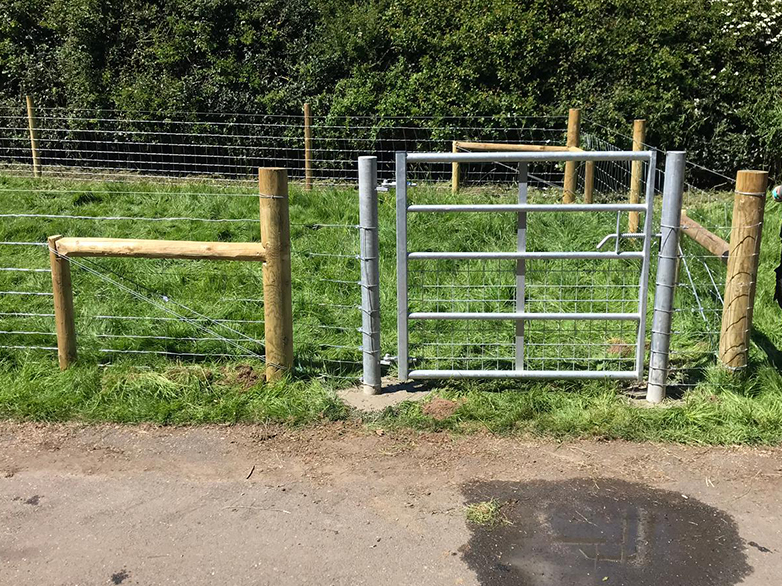 Pig Stock Fence - Smallholding Installation - 4