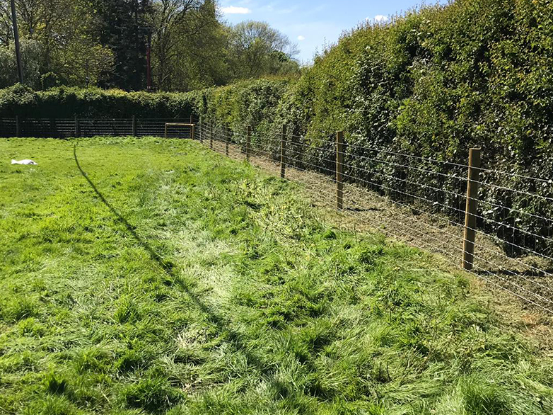 Pig Stock Fence - Smallholding Installation - 5