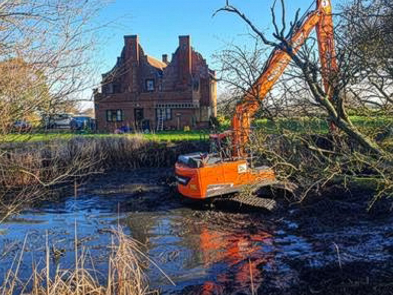 Pond Clearing Project - 1