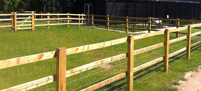 Animal pens installed with post and rail fencing at Capel Manor College