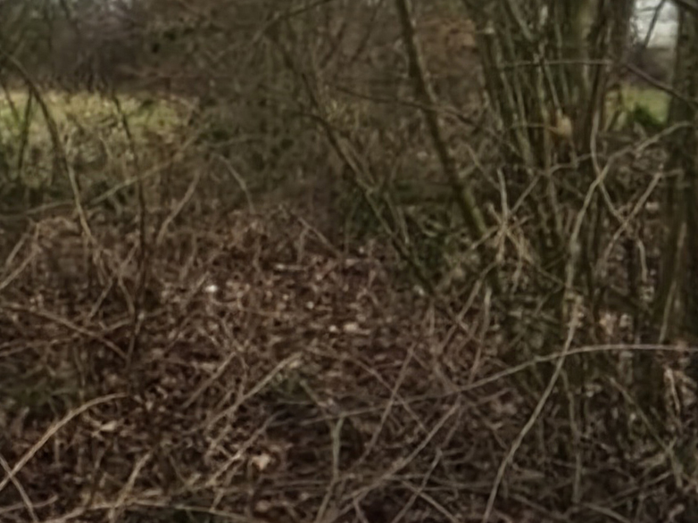 Post and Rail - St Mary's Church, Shenfield - 4