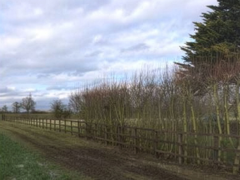 Pressure Treated Post and Rail with Gate - Twinstead - 5