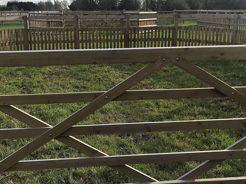 Foal Turnout Pens Project - 1
