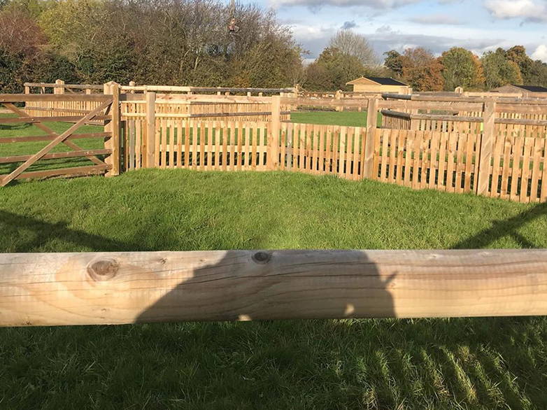 Foal Turnout Pens Project - 2