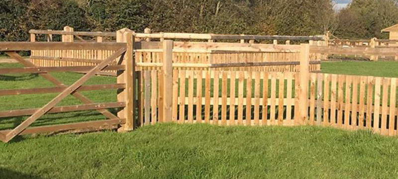 Newly Installed Foal Pens and Grass Seeding