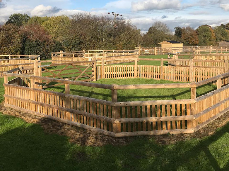Foal Turnout Pens with Fresh Grass