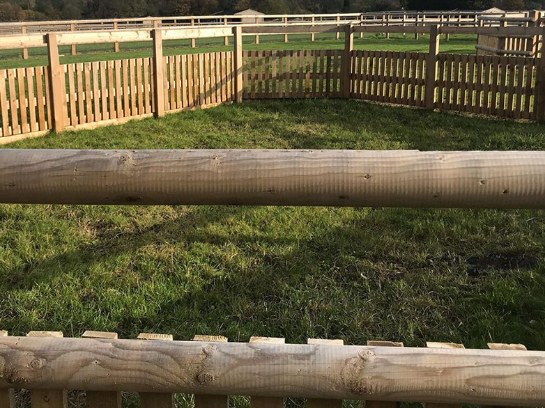 Foal Pen Installation Project Overview