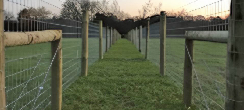 Horse Grazing Fencing and Infrastructure Project in Chelmsford