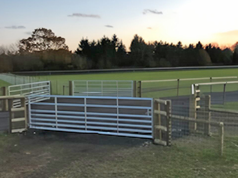 Horse Grazing Compartments - Chelmsford - 3