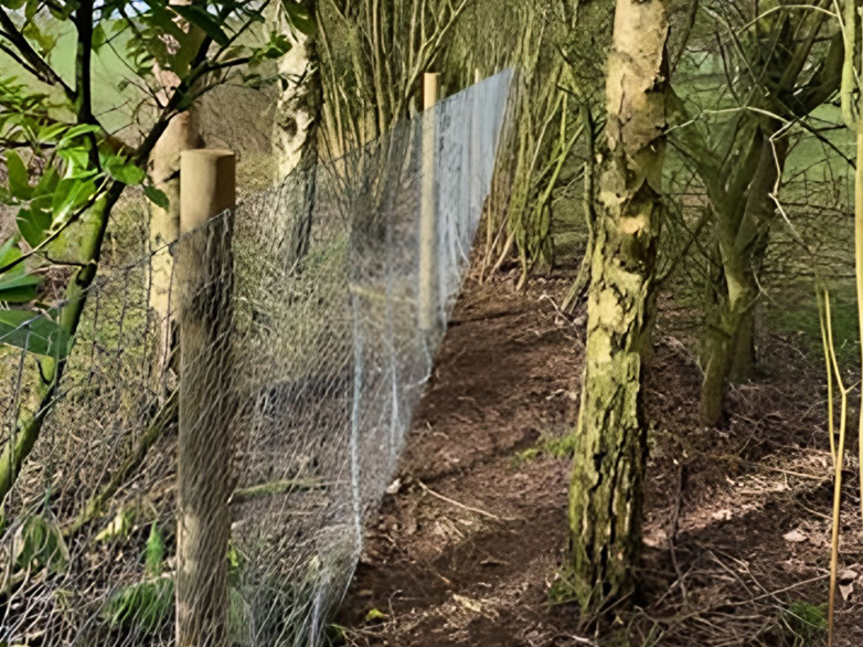 Horse and Rabbit Netting Project - 6