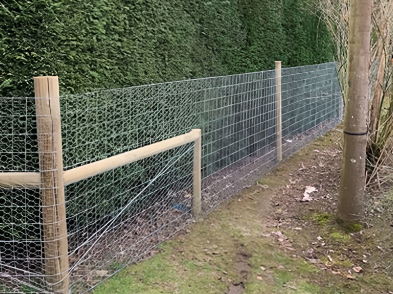 Finished Equine and Rabbit Fencing Hidden in Garden Border