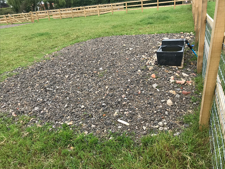Ultimate Horse Fencing Project - 11