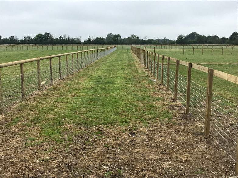 Ultimate Horse Fencing Project - 4