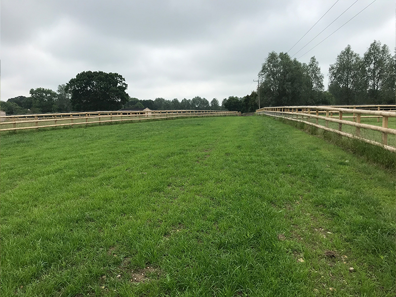 Ultimate Horse Fencing Project - 5