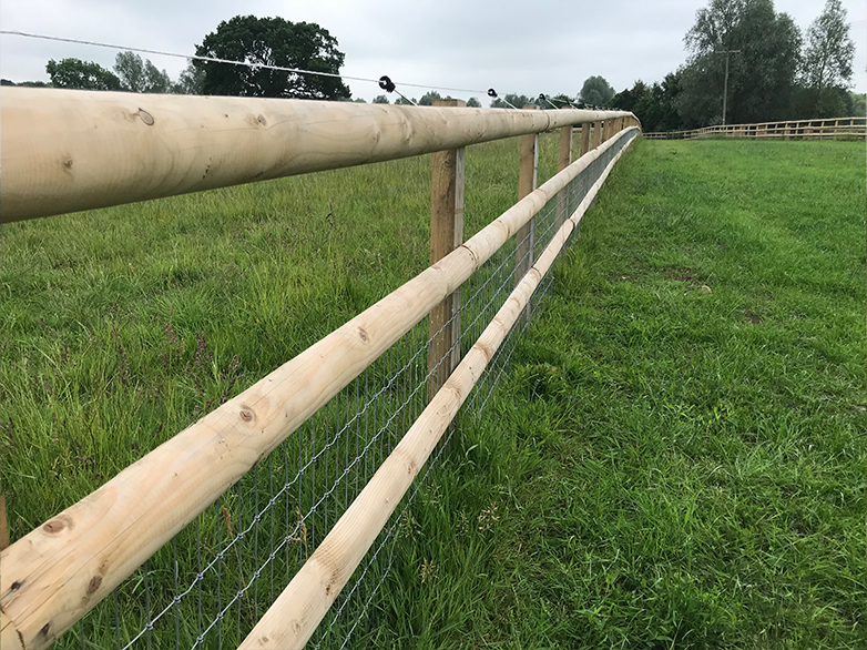 Ultimate Horse Fencing Project - 8