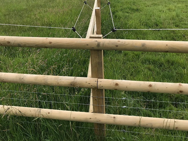 Heavy-duty horse fencing with top rails and kickboards