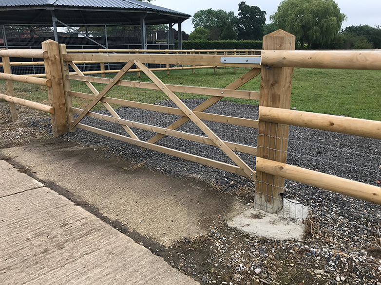 Equestrian gate and horse-safe fencing system
