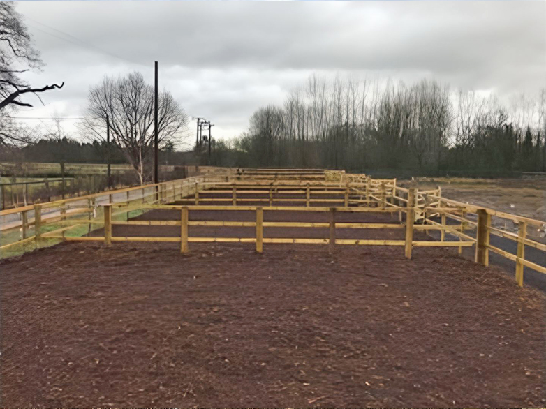Woodchip Foal Paddocks Project - 3
