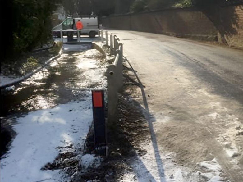 Post and rail fence with new allotment gate
