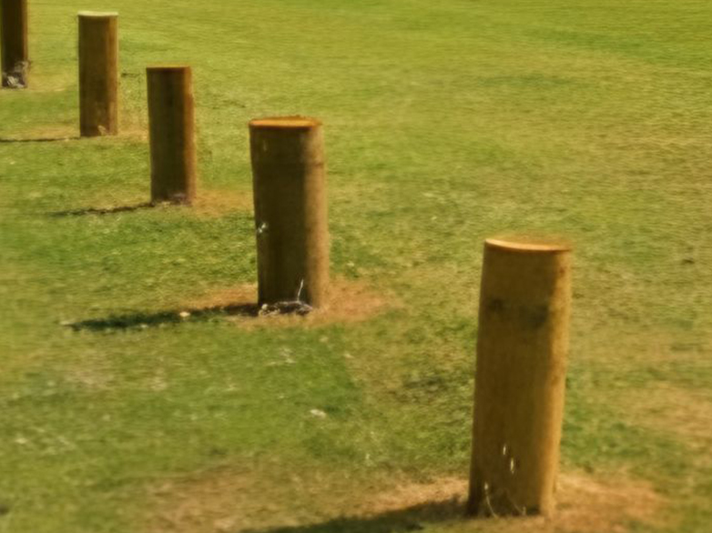 Close-up of installed bollards on grass verge