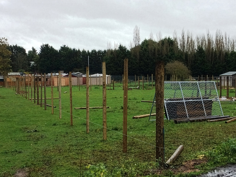 Reindeer Enclosure - 2