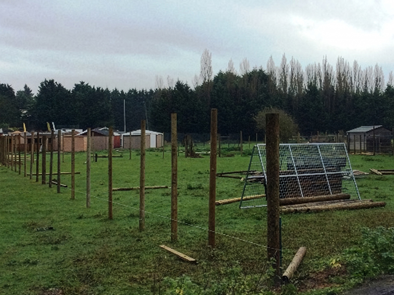 Reindeer Enclosure - 3