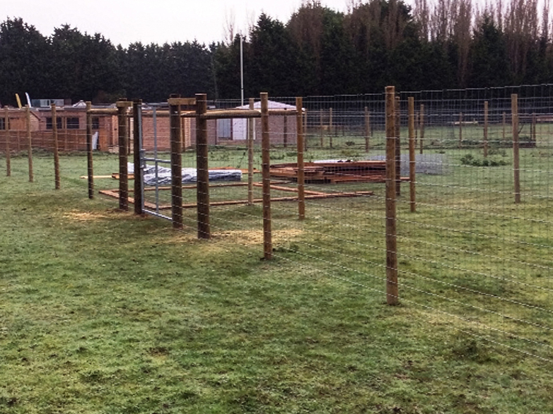 Reindeer Enclosure - 4