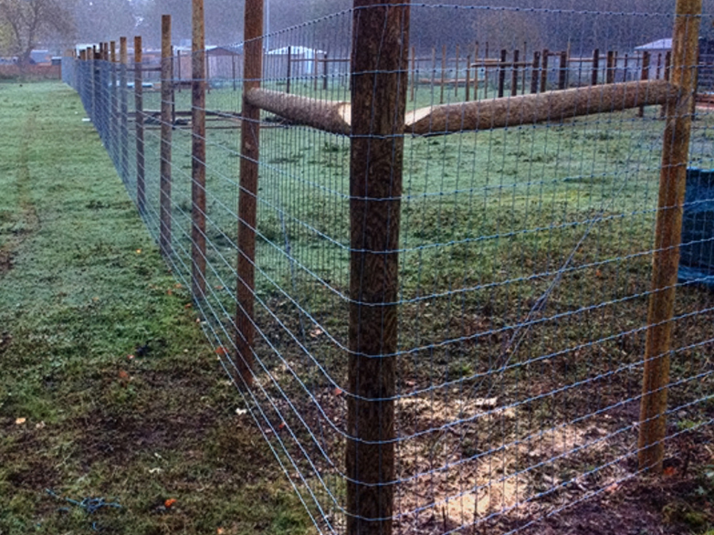 Reindeer Enclosure - 5