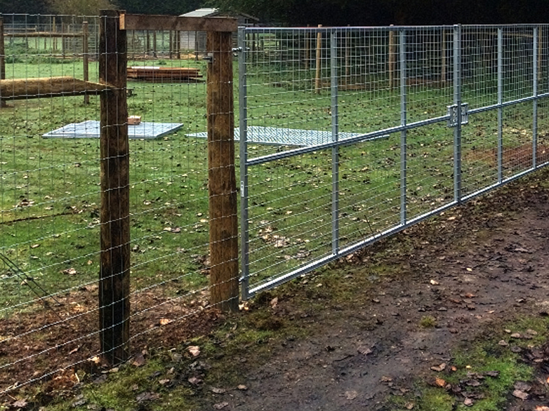 Reindeer Enclosure - 6