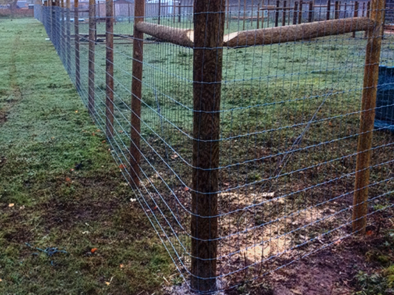 IAE deer gates and Tornado fencing for reindeer