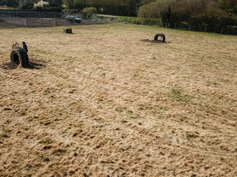 Secluded Dog Walking Field - 4