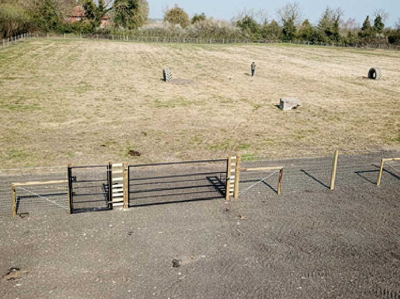 Secluded Dog Walking Field - 5