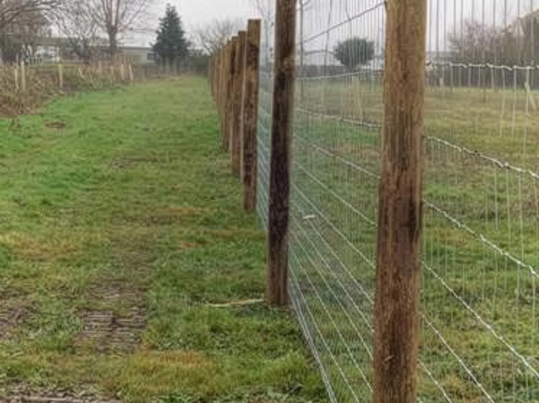 Security Gate for Dog Walking Field Project - 3