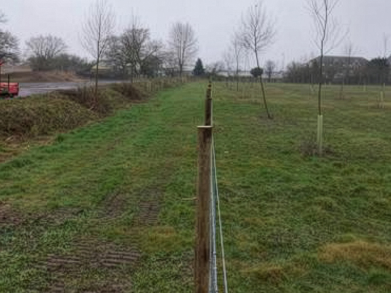 Security Gate for Dog Walking Field Project - 4