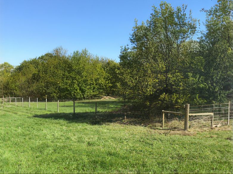 Stock Fencing - Essex Wildlife Trust - 3