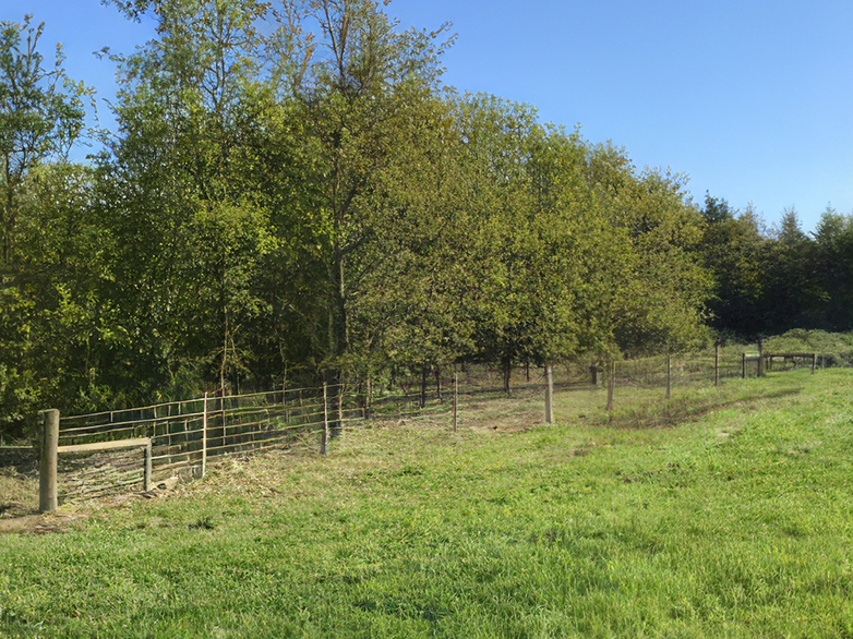 Stock Fencing - Essex Wildlife Trust - 4