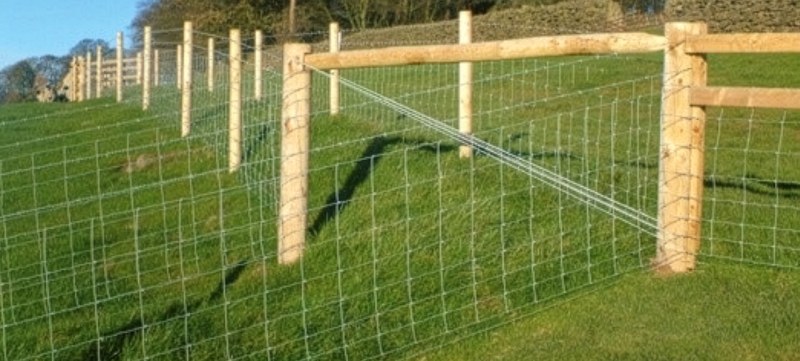 Stock Fencing in a Public Park for HLS Scheme