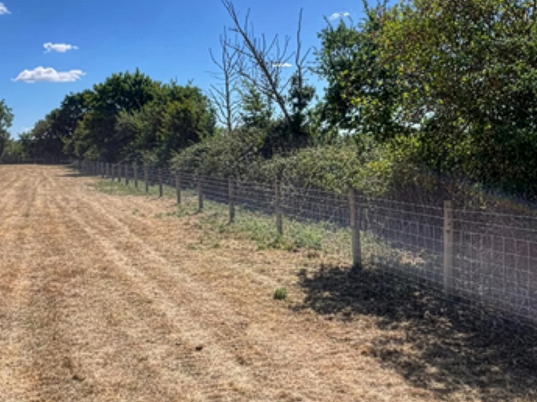 Stock Fencing with Barbed Wire Project - Essex - 4