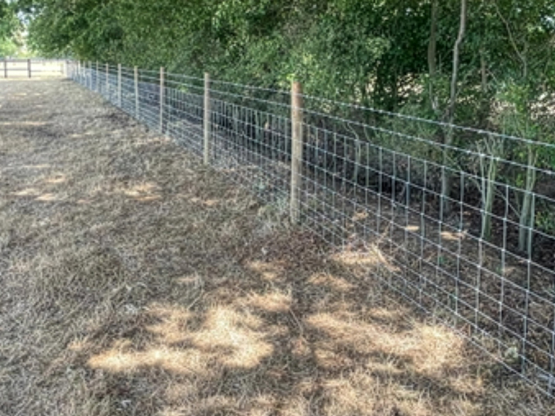 Cleared public footpath with maintained fencing