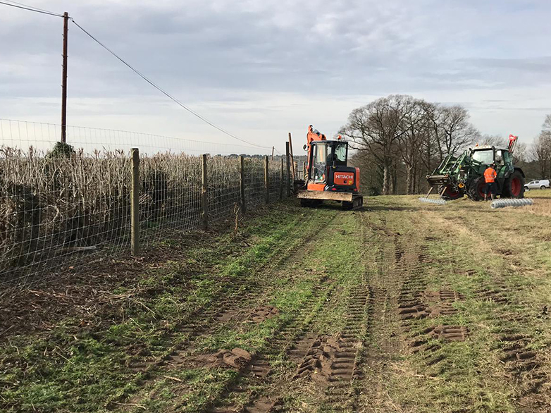 Deer Fence on Chestnut Posts - Suffolk Estate - 1
